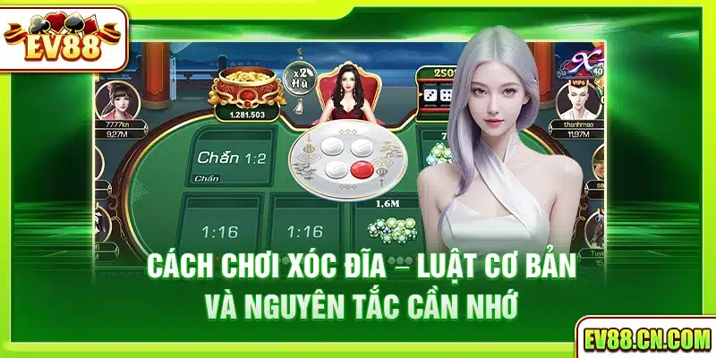 Cách chơi xóc đĩa – Luật cơ bản và nguyên tắc cần nhớ