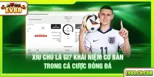 Xỉu chủ là gì? Tìm hiểu khái niệm cơ bản trong lô đề