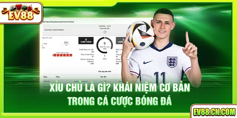 Xỉu chủ là gì? Tìm hiểu khái niệm cơ bản trong lô đề