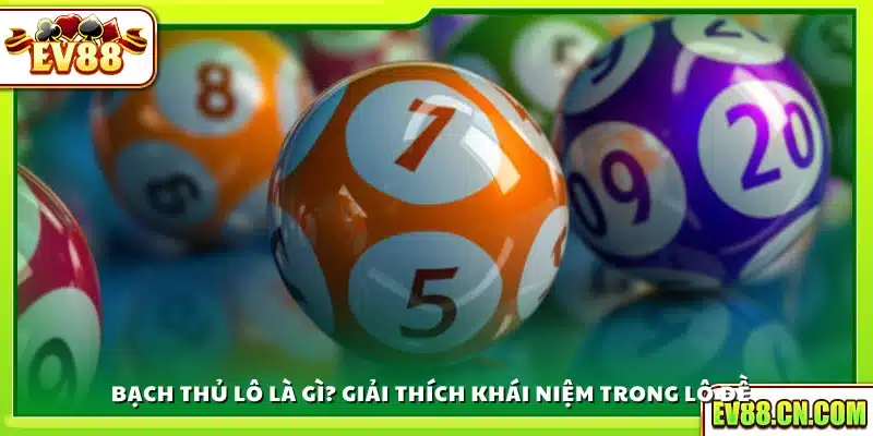 Giải nghĩa khái niệm bạch thủ lô là gì cho người mới