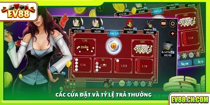 Những cửa cược phổ biến và mức trả thưởng