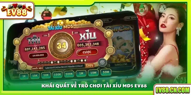 Giới thiệu sơ lược Tài Xỉu MD5 trên Ev88