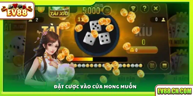 Chọn cửa cược chính xác để tham gia