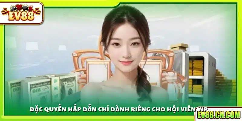 Quyền lợi đặc biệt cho thành viên VIP