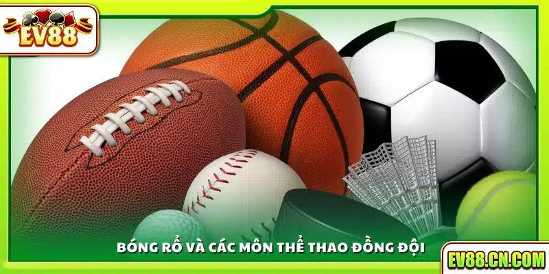 Bóng rổ và loạt môn hấp dẫn