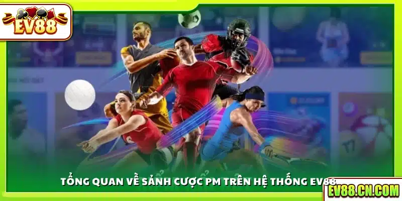 Tổng quan về sảnh thể thao PM Ev88