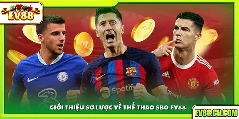 Khái quát về sảnh cược thể thao SBO tại Ev 88