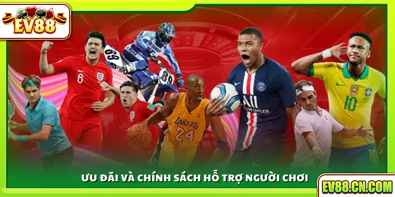 Ưu đãi hấp dẫn và hỗ trợ tận tình dành cho bet thủ