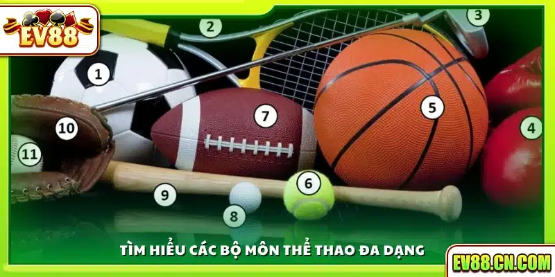 Tìm hiểu hệ thống môn thể thao đa dạng 