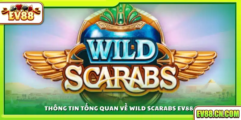 Tổng quan nhanh trò chơi Wild Scarabs
